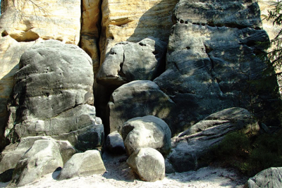 Copak asi hlidá gorilí samec