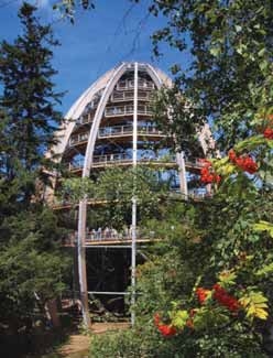 stezka-v-korunach-stromu