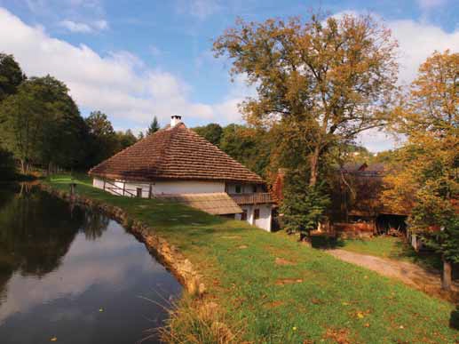 rybarsky-den-na-mlyne