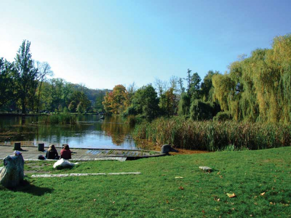 Do metropole za zelení
