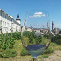 Když na Svatomartinské, tak do Hory!