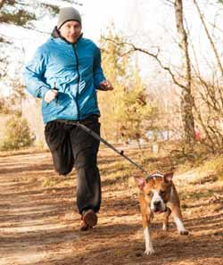 Tři jarní soboty veselské