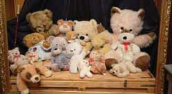 Do Nymburka za medvědy