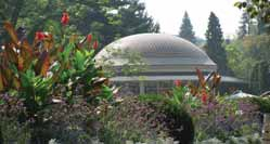 Léto v Poděbradech...