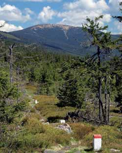 Sněžník, na tom se shodneme