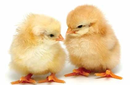 Bejvávalo, bejvávalo...