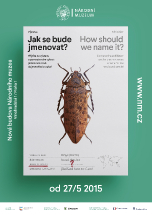 Jak se bude jmenovat?