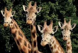 Zoo Olomouc