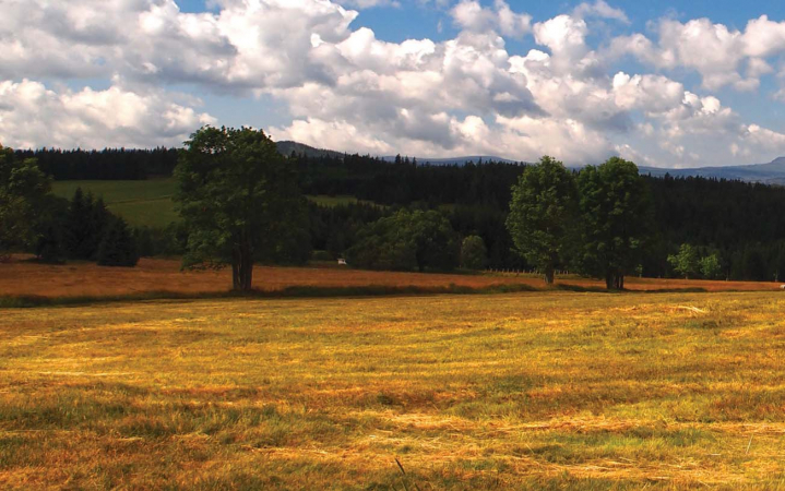 Zaniklé hutě, kýzy a puchry