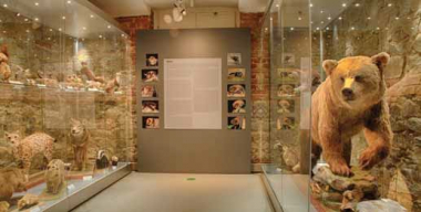 KAM na výlet, když počasí nepřeje?