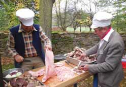 VODNÍ MLÝN HOSLOVICE