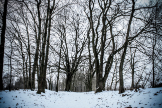 Zimní toulky Českou Kanadou