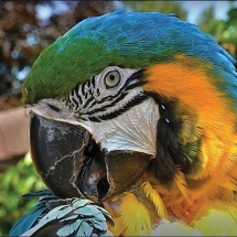 SPRÁVNÝ ČAS NA ŠKOLNÍ VÝLET