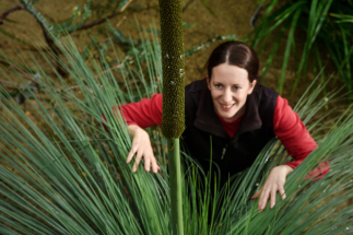 V Liberci vykvetl žlutokap