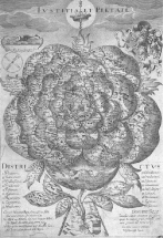 Jezuité – pokrok, či úpadek?