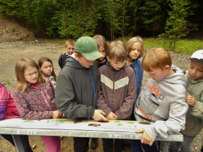 Žabí ráj v Jinošovském údolí 