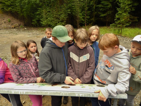 Žabí ráj v Jinošovském údolí 