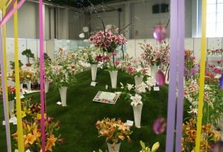 Výstava Květy a Festival věštění