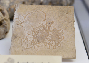 Vlastivědné muzeum v Olomouci 