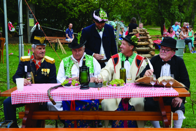 Strážnické kulturní léto