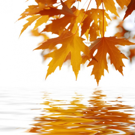 „KAM to dneska bude?“ Hurá, do přírody…