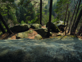 Největší moravský skalní labyrint