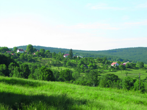 Žítkovské bohyně