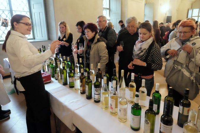 Svatomartinské provoní Kutnou Horu!