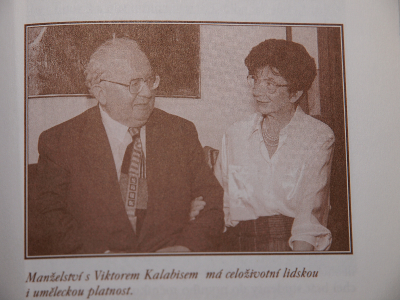 Obrázek č.0