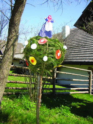 Obrázek č.0
