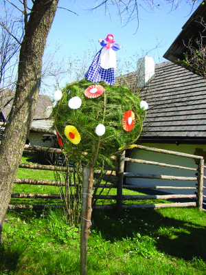 Obrázek č.0