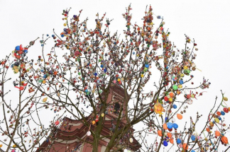 Centrum Hranic zdobí strom Kraslicovník s 3300 kraslicemi