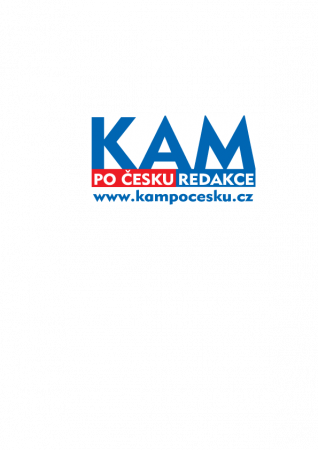 Neziskové organizace dětem
