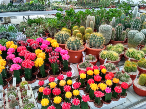 Odhalte skrytá tajemství nejsušších míst světa