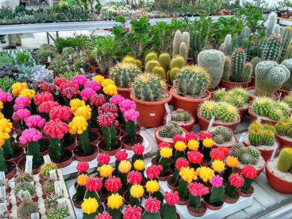 Odhalte skrytá tajemství nejsušších míst světa