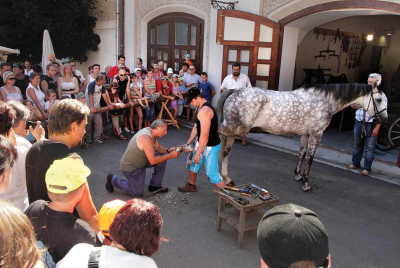 Řemeslnická sobota
Letohrad