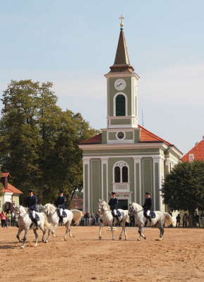 Národní hřebčín Kladruby nad Labem