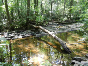 Naučná stezka Údolím Vrchlice