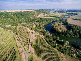 Probouzení vinic ve Stranné