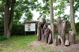 Naučná stezka kolem Dačic