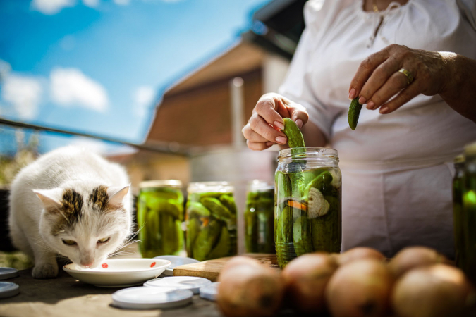 Objevte, jak #ZNOJMOCHUTNA