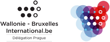 Zastoupení Valonsko–Brusel