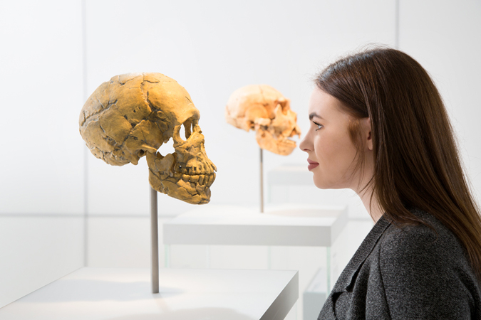 Dobrodružná archeologie