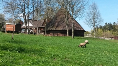 Obrázek č.0