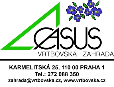 Obrázek č.0