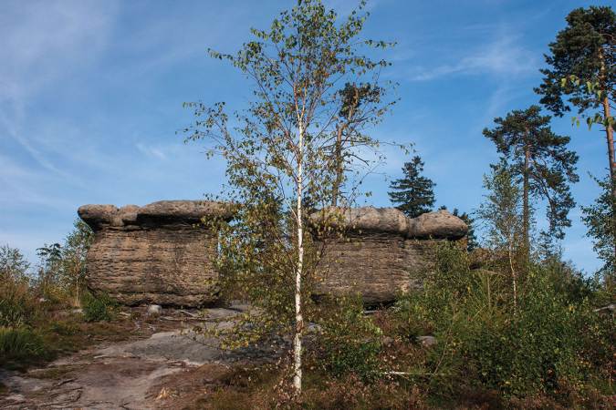 Nejdokonalejší skalní hřiby u nás