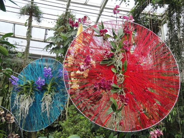 Orchideje zaplavily skleník Fata Morgana