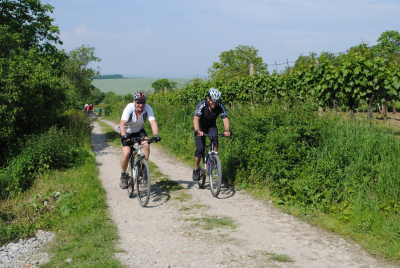 Strážnickými vinohrady na kole