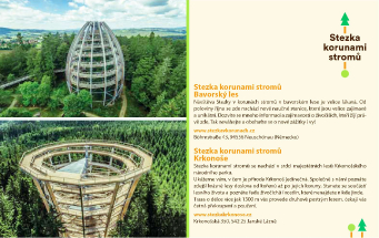 Stezka korunami stromů