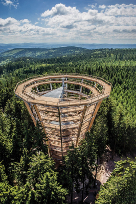 Stezka korunami stromů
Krkonoše